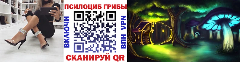 kraken как войти  где купить наркотик  Орлов  Псилоцибиновые грибы MAGIC MUSHROOMS 
